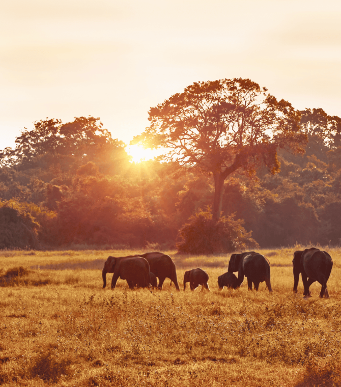 Classroom Without Walls